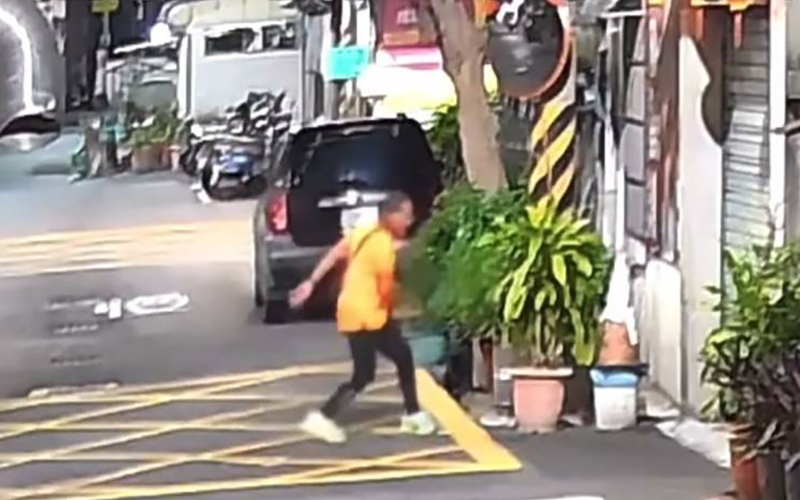磚塊砸向無辜毛孩釀死亡   鳳山醉男涉虐狗案曝光　飼主提告警方送辦