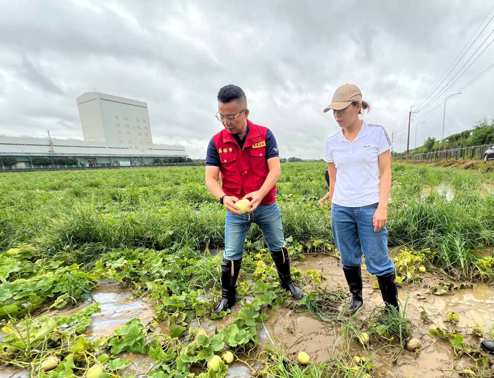 八月豪雨重創農業　市府籲受災農友速通報全力爭取全品項救助