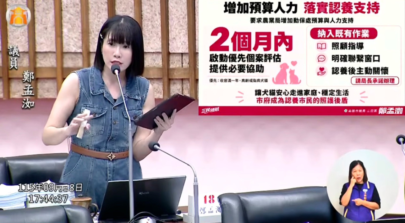 浪浪安置壓力升高　鄭孟洳要求兩個月內補強認養支持措施
