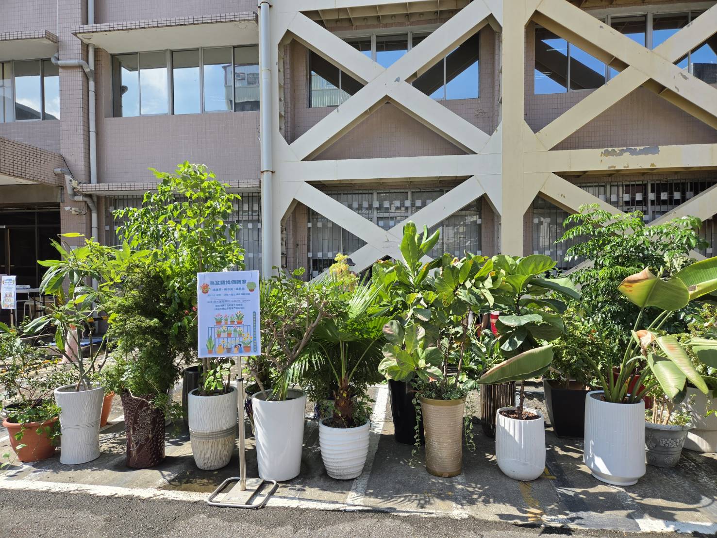 舊盆栽變身綠色新夥伴　高雄港務分公司公益活動落幕讓植栽持續發芽