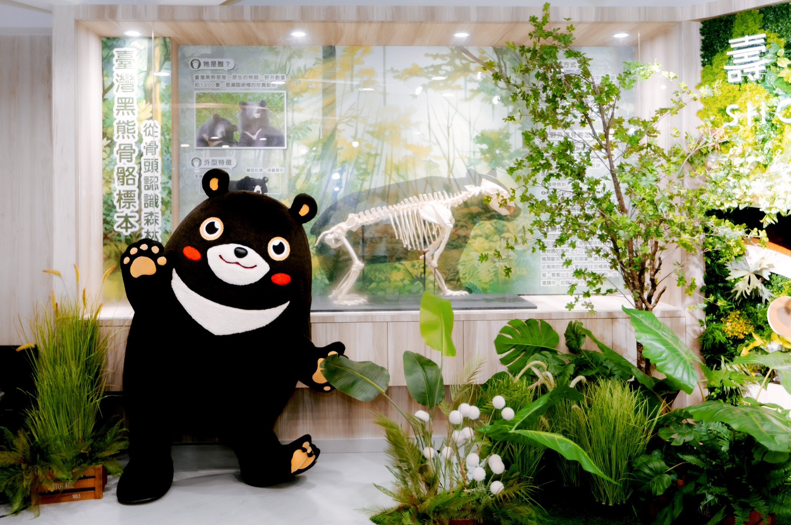 走進森林認識野生動物   壽山動物園解說教育中心開放　黑熊小山骨骼標本首展