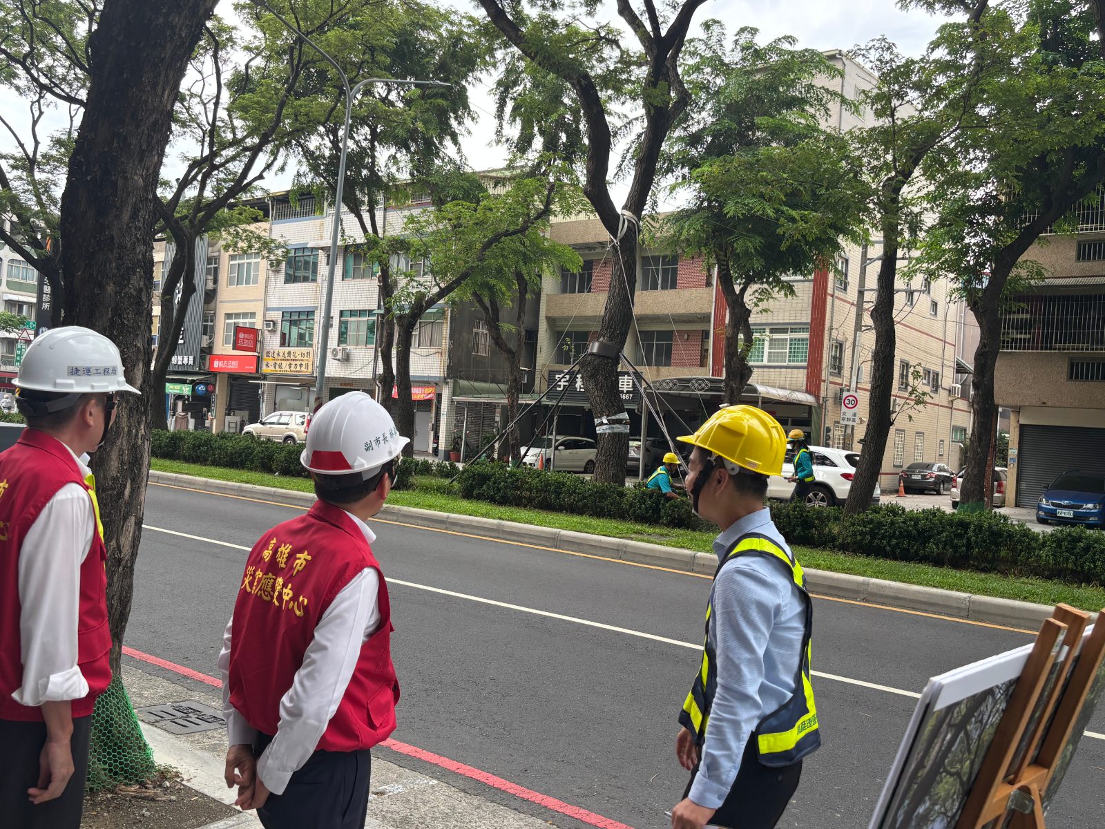 輕軌穿城綠意不減　捷運局以工程護樹與科技監測打造綠色廊道